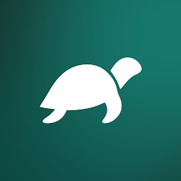 Turtle: Slow Dating App & Chat