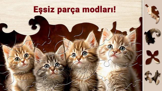 Ekran Görüntüsü 4