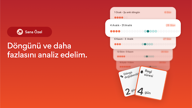Ekran Görüntüsü 8