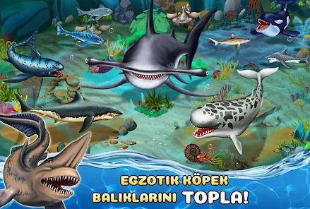 Ekran Görüntüsü 3