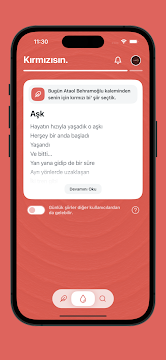 Ekran Görüntüsü 7