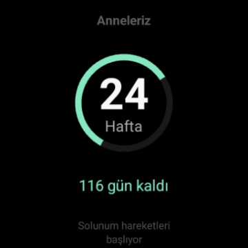 Ekran Görüntüsü 8