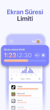 Ekran Görüntüsü 3