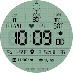 Retro Digital Watch Face TMZ