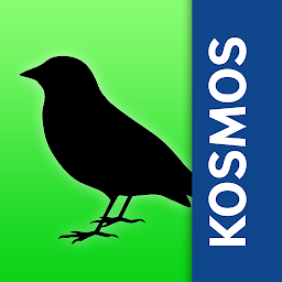 Birds of Europe