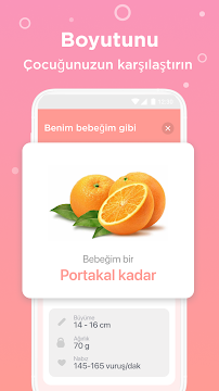 Ekran Görüntüsü 3