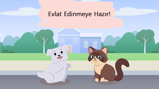 Ekran Görüntüsü 6