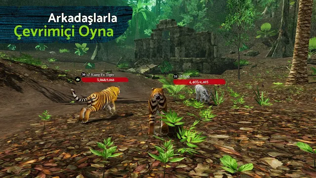 Ekran Görüntüsü 4