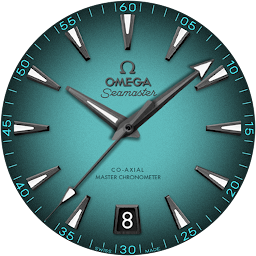 Omega Seamaster Watch Face