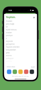 Ekran Görüntüsü 3