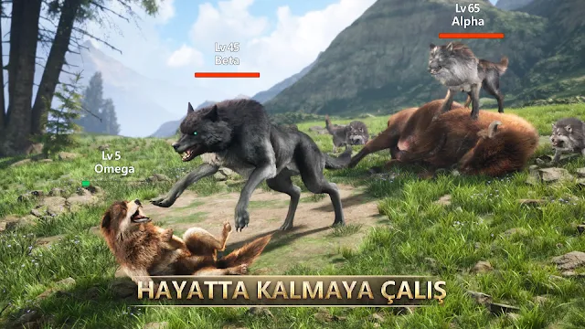 Ekran Görüntüsü 6