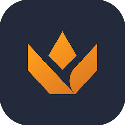 Valking.gg - Valorant Tracker