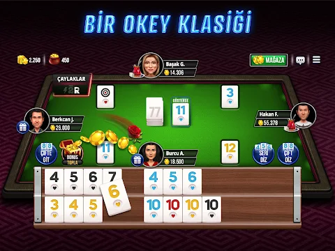 Ekran Görüntüsü 5