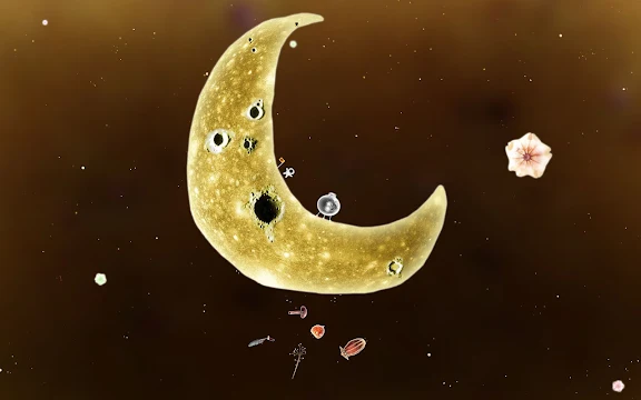 Ekran Görüntüsü 2