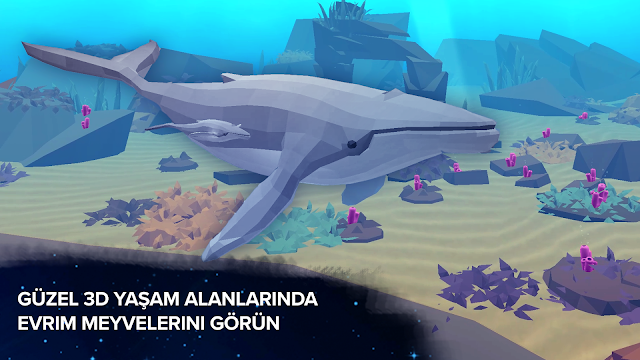 Ekran Görüntüsü 6