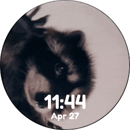 Pedro Pedro Raccoon Animated