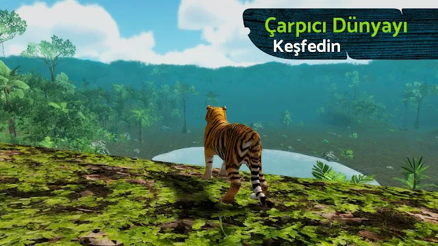 Ekran Görüntüsü 8