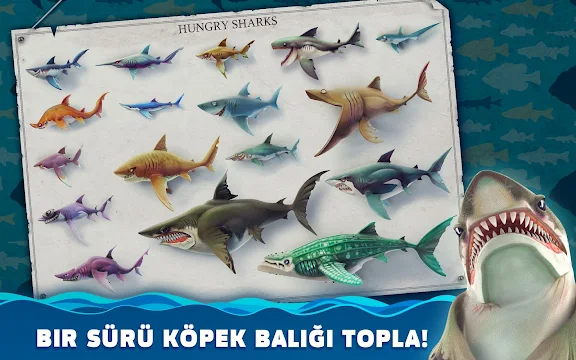 Ekran Görüntüsü 8