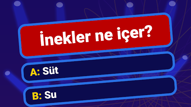 Ekran Görüntüsü 6