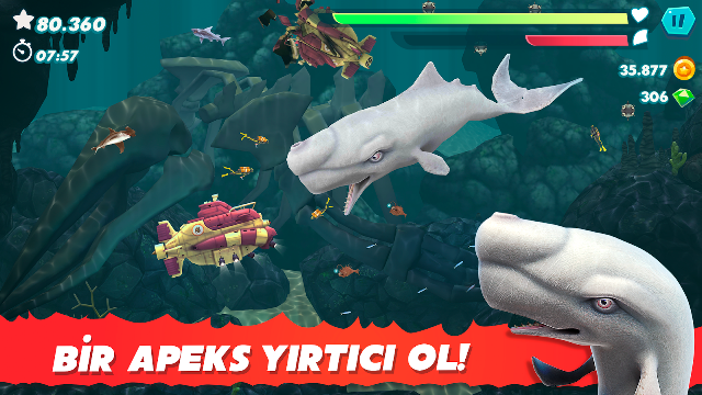 Ekran Görüntüsü 4