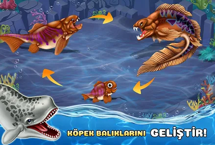 Ekran Görüntüsü 5