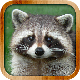 Kids Learn About Animals