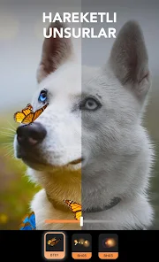 Ekran Görüntüsü 5
