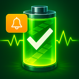 Full Battery & Theft Alarm